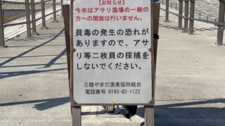 山田湾内（織笠川河口を含む）におけるあさり採捕（潮干狩り）の一般開放中止について